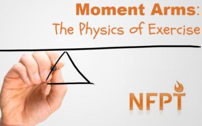 Moment Arms in Exercise: A Brief Introduction to the Physics of Movement