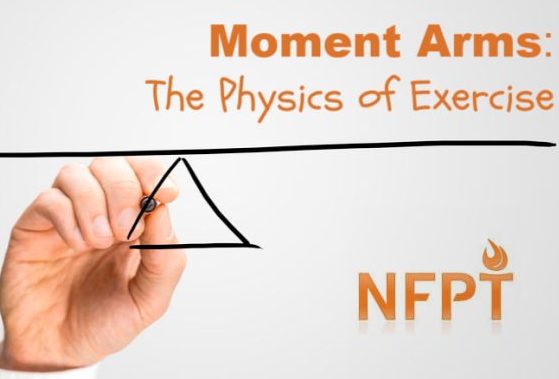 Moment Arms in Exercise: A Brief Introduction to the Physics of Movement
