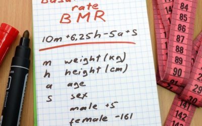 How Consumption Below BMR Can Undercut Fat Loss and Mass Gains