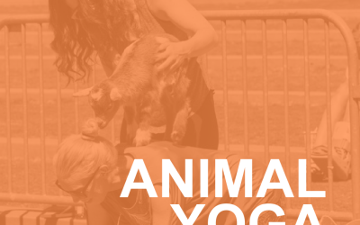 Animal Yoga: Why Everyone Should Try It