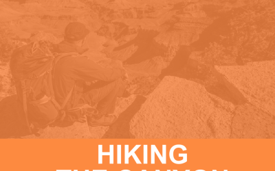 Hiking Rim-to-Rim in a Single Day: Conquering the Grand Canyon