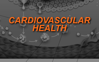 Cardiovascular Health and Fitness