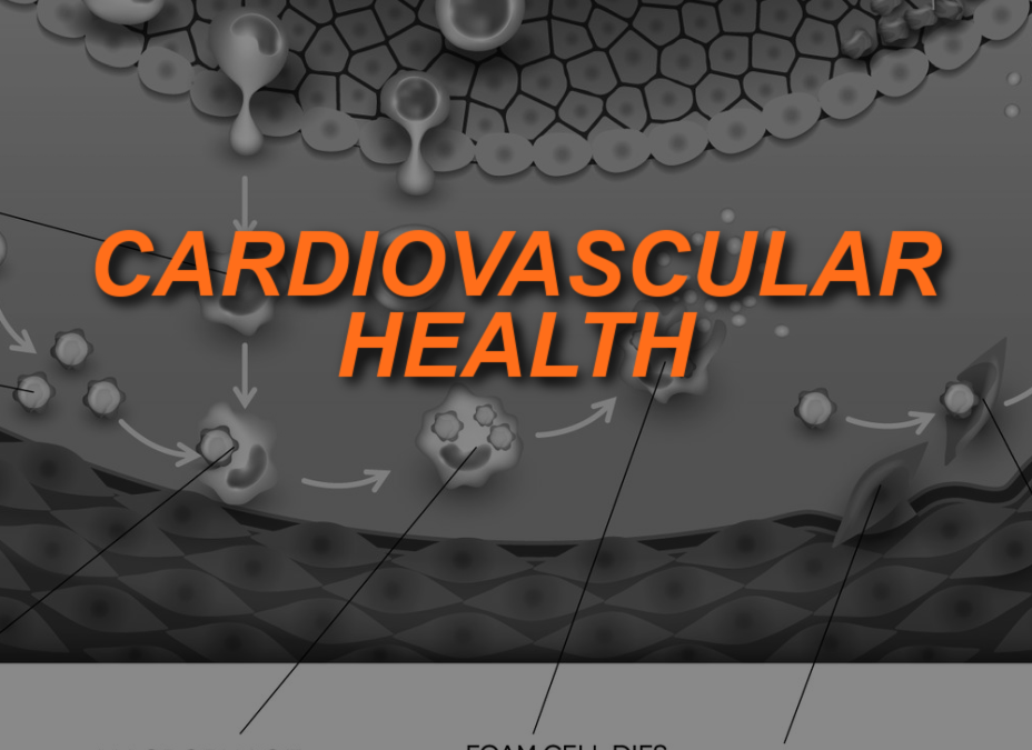 Cardiovascular Health and Fitness