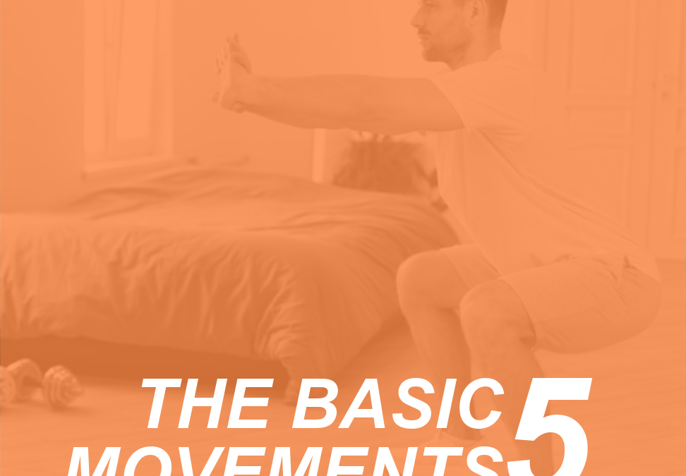 5 Basic Movements for Fitness Clients