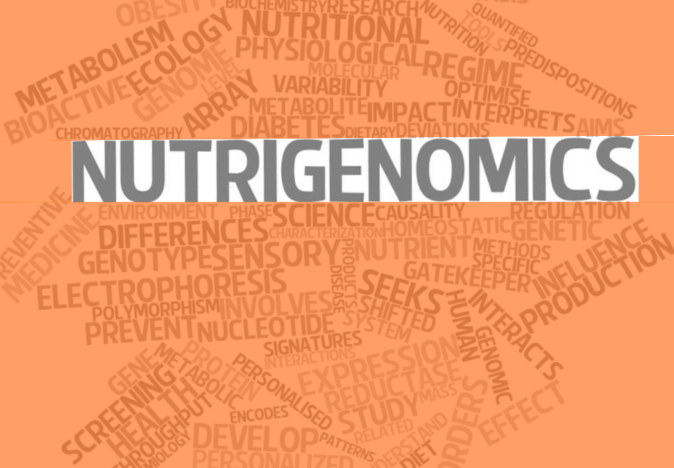 Nutrigenetics and Nutrigenomics: The Symbiosis of Genetics, Nutrition and Fitness