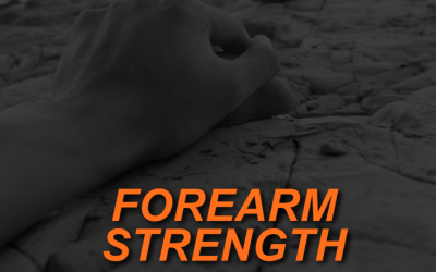 The Importance of Grip and Forearm Strength