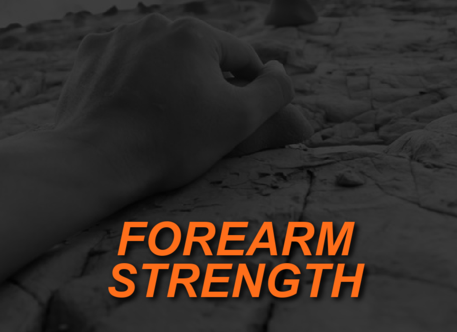 The Importance of Grip and Forearm Strength