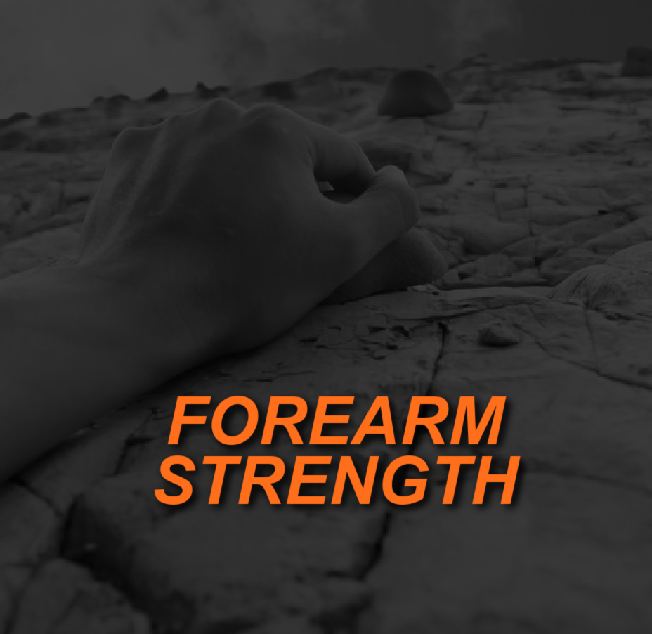 The Importance of Grip and Forearm Strength Personal Trainer Today