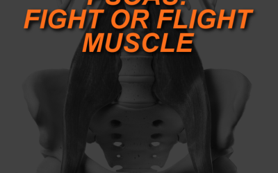 Psoas: The Fight or Flight Muscle