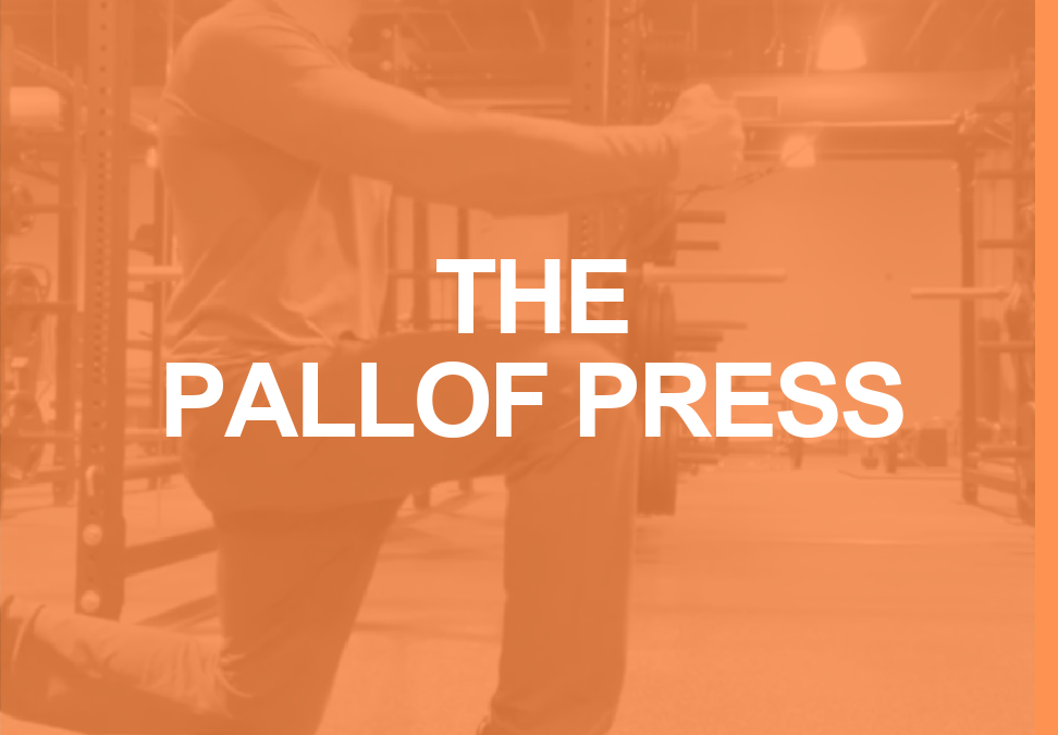 How to Do the Pallof Press