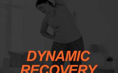 A Dynamic Recovery and Flexibility Routine for Fitness Clients