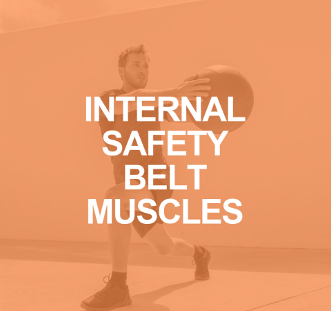 TVA and IO Muscles: The Internal Safety Belt - Personal Trainer Today