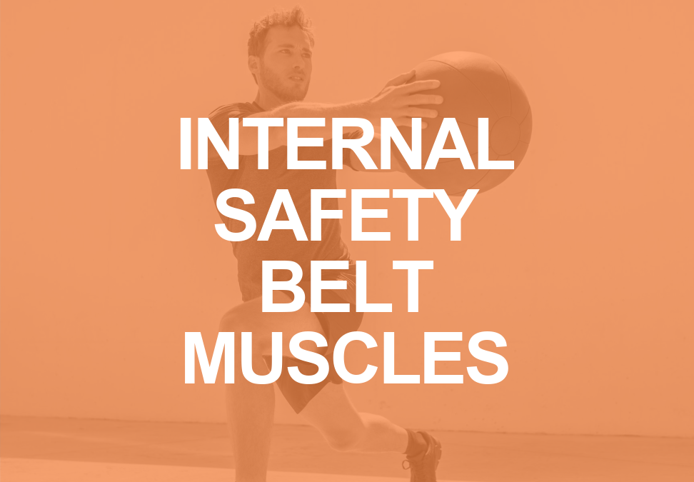 TVA and IO Muscles: The Internal Safety Belt