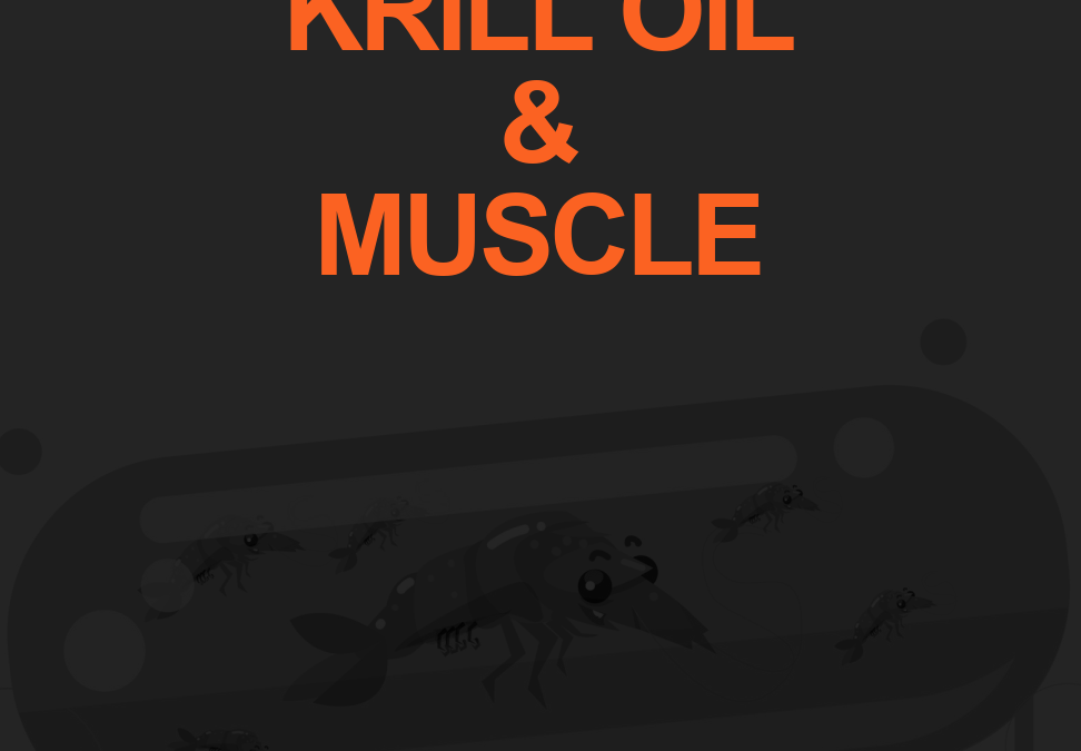 Enhance Muscular Strength with Krill Oil