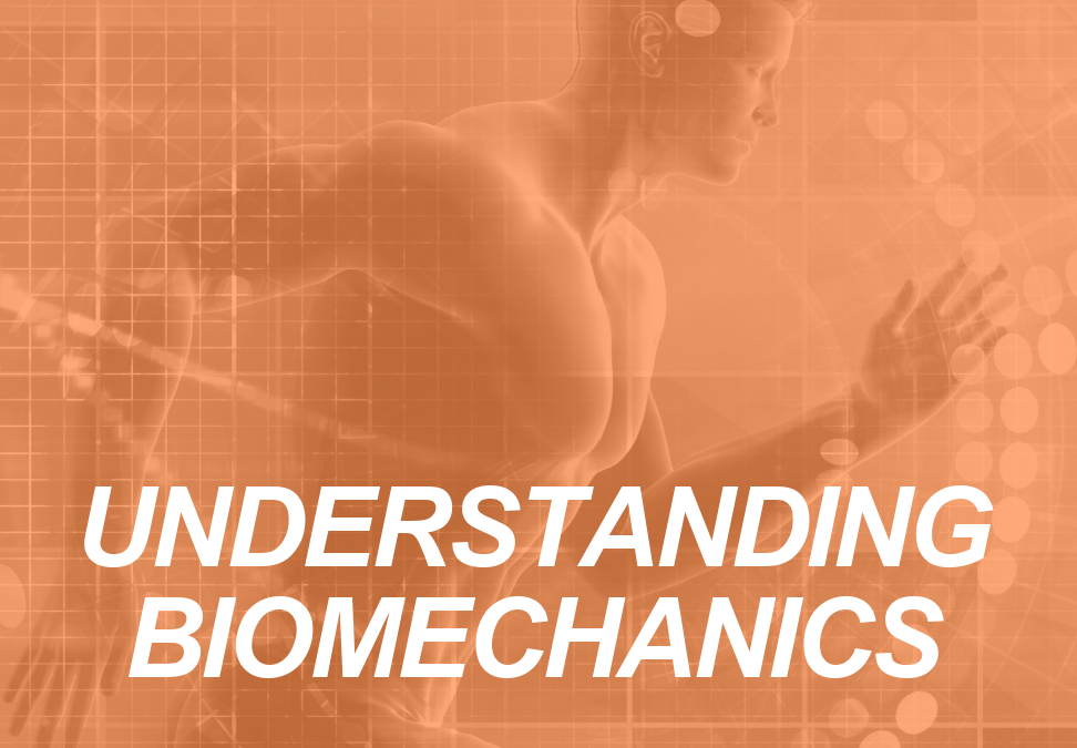 biomechanics: HUMAN MOVEMENT SCIENCE