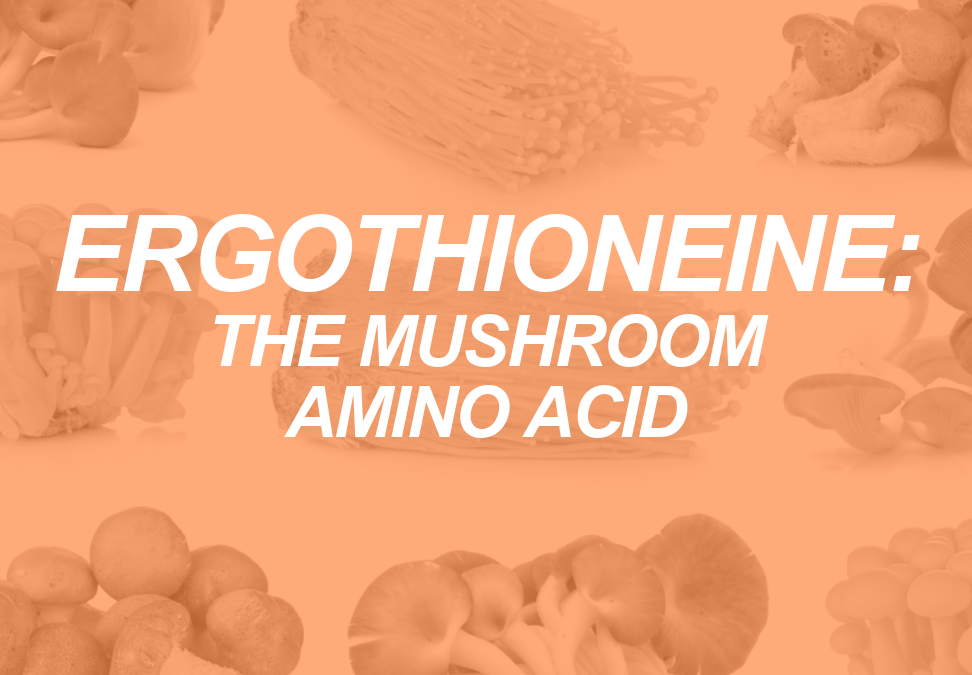 ERGothioneine: the mushroom amino acid.