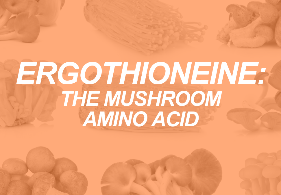 Ergothioneine: The Mushroom’s Mighty Amino Acid