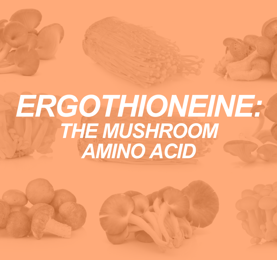 Ergothioneine The Mushroom’s Mighty Amino Acid Personal Trainer Today