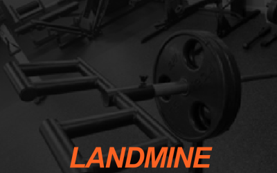 Enhance Landmine Training