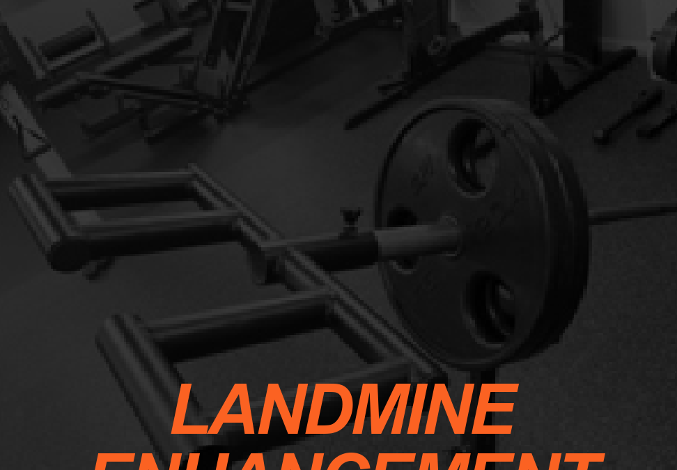Enhance Landmine Training
