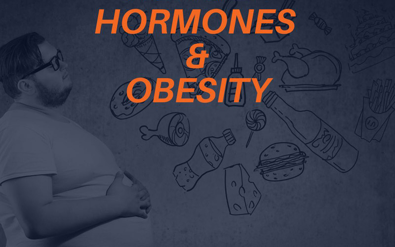 Hormones and Obesity: How Does Satiety Affect Weight?