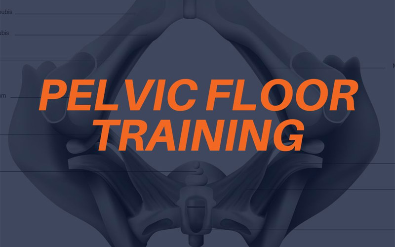 Pelvic floor training title card.