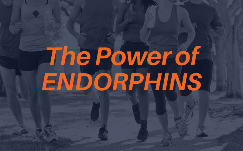 The Power of Endorphins Title image.