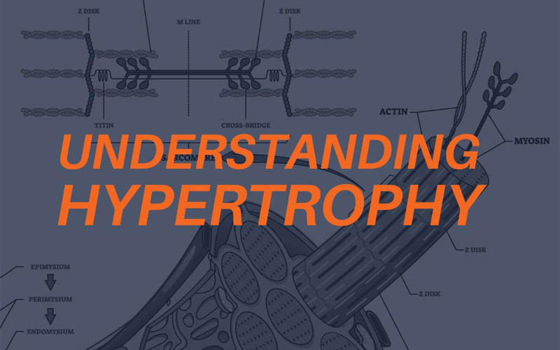 Understanding Hypertrophy Title Card.